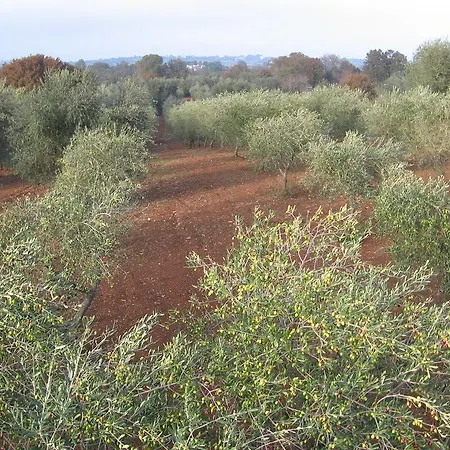 Trulli 4* Cisternino