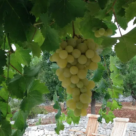 Trulli Hébergement de vacances
